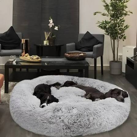 Dog bed