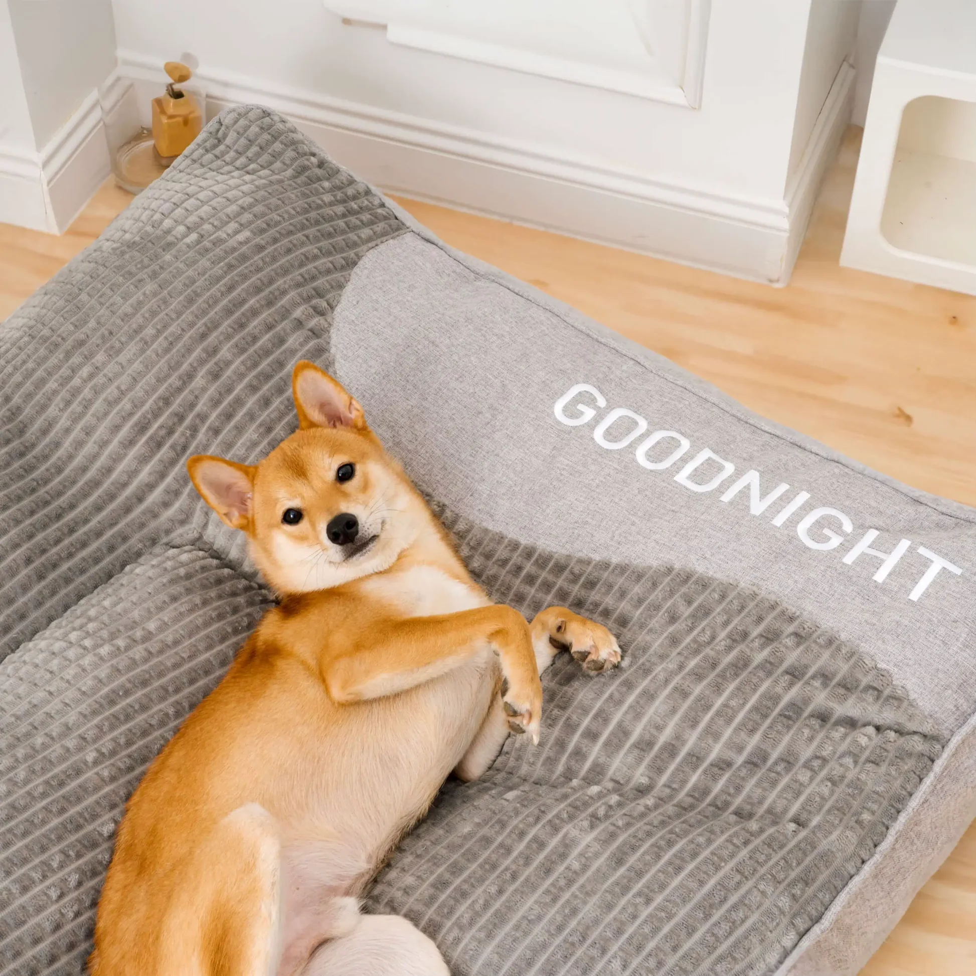 Dog Cushion