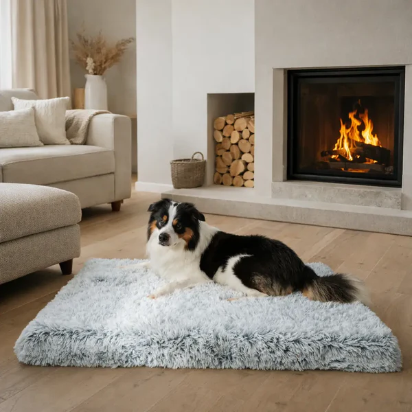 dog pillow