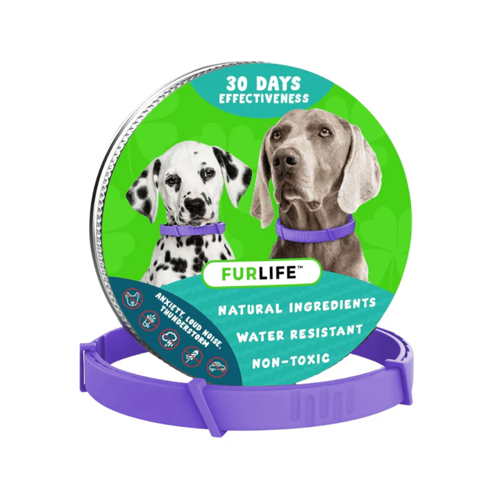 dog collar